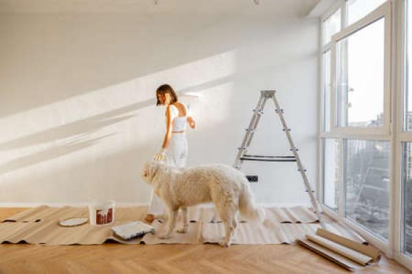 Woman paints a white wall with a dog